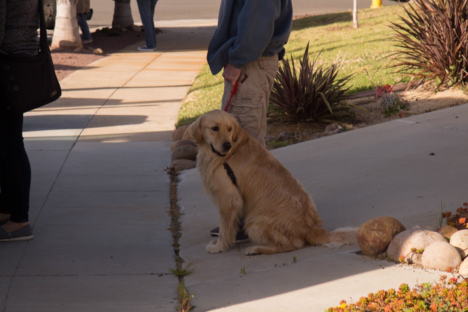 2016 Food Truck Photos Talmadge Block Party